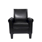 Fauteuils d'appoint, Fauteuil de salon confortable, Fauteuil en cuir PU